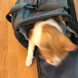 Meet your Posher, Andrew